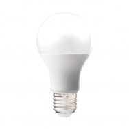 Bulbs