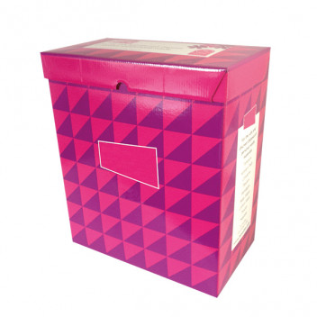 Disposable Sanitary Bin